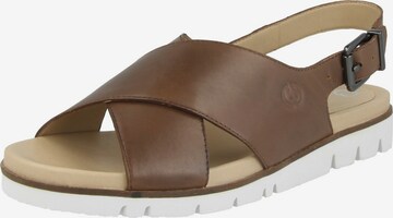 GERRY WEBER SHOES Sandals 'Gulla 01' in Brown: front