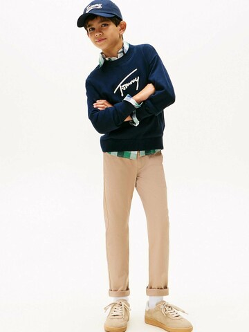 TOMMY HILFIGER Regular Hose 'TOMMY HILFIGER' in Beige