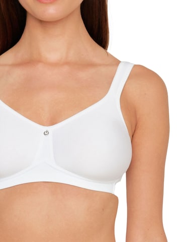 SUSA BH 'Catania' in Weiß