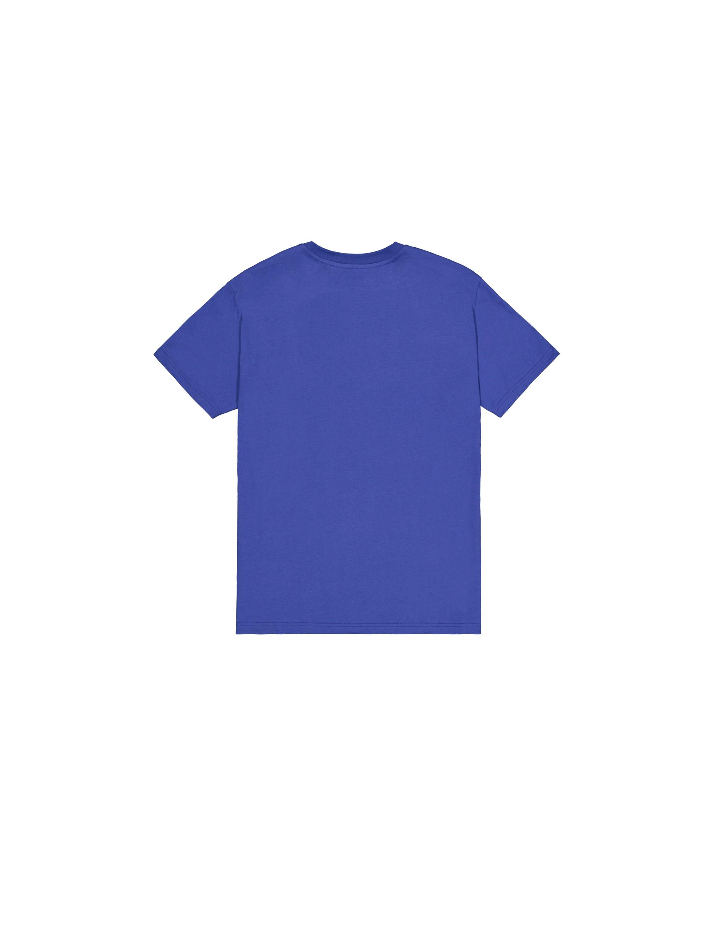 ALPHA INDUSTRIES T-Shirt in Blau