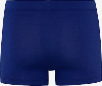 Hanro Pants ' Natural Function ' in Blau