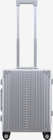 Aleon Trolley '21 Domestic' in Silver: front