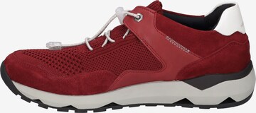 JOSEF SEIBEL Sneaker 'Jeremiah 02' in Rot