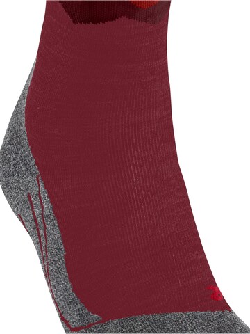 FALKE Athletic Socks 'TK2 Explore Long' in Red