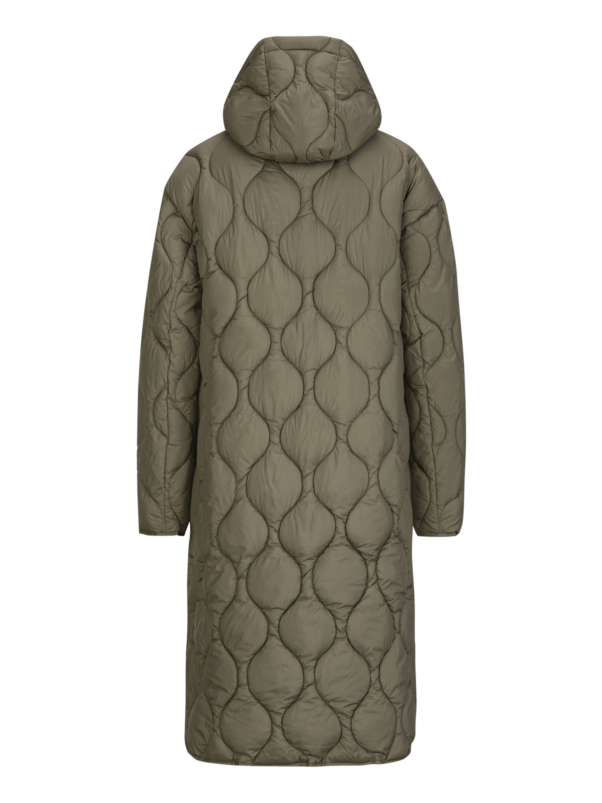 REPLAY Winterparka in Groen