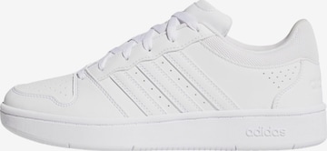 ADIDAS SPORTSWEAR Sneakers laag 'Hoops Classic' in Wit: voorkant