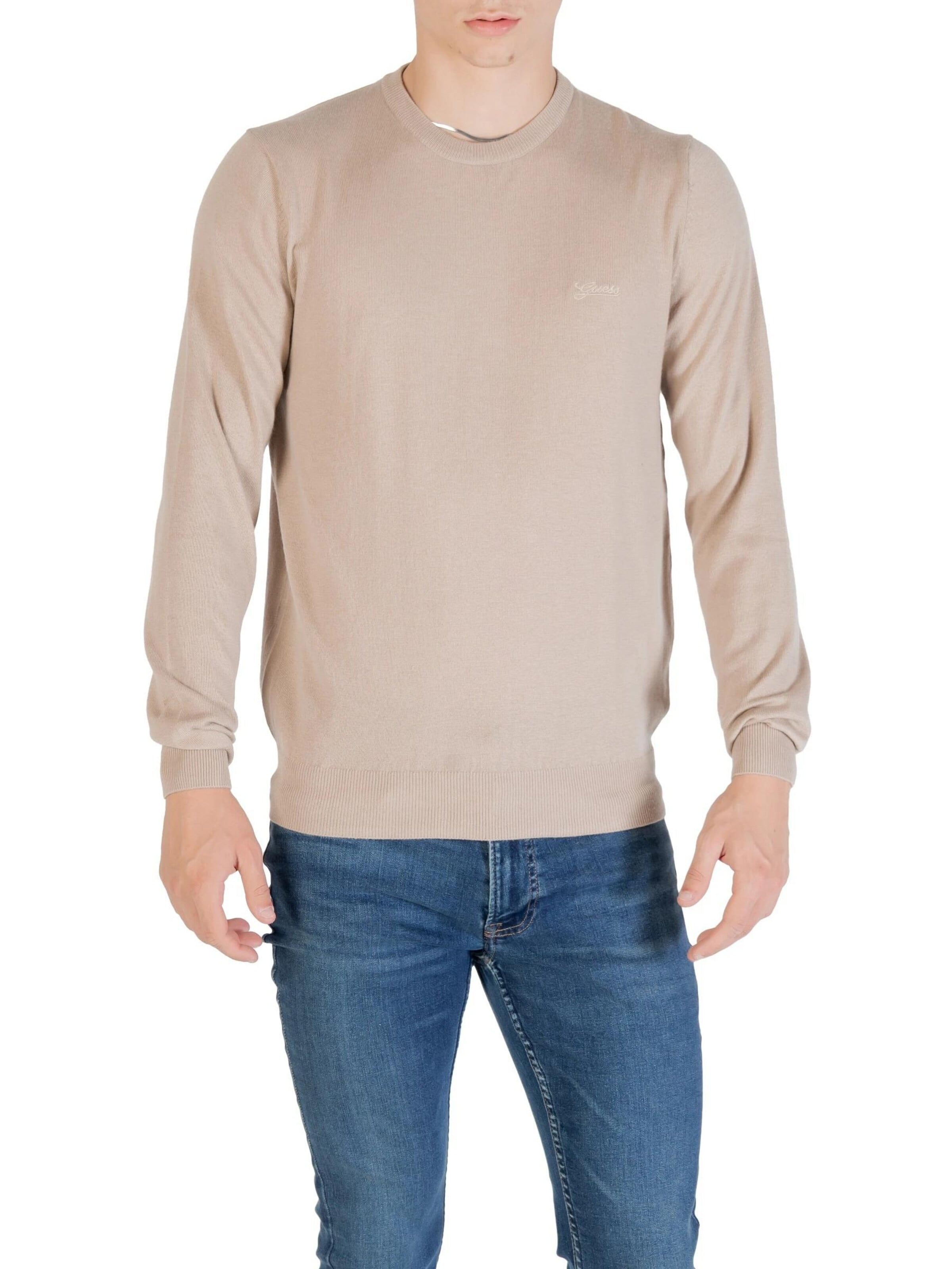 GUESS Sweatshirt‌‌‌‌‌ in Beige: Vorderseite