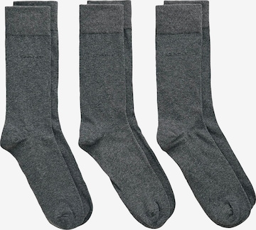 GANT - Calcetines en gris: frente