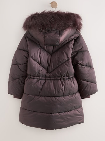 Next - Chaqueta de invierno en marrón