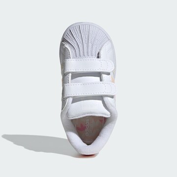 ADIDAS ORIGINALS Sneakers ' Superstar  ' in White