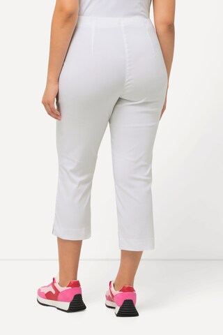 Ulla Popken Regular Broek in Wit