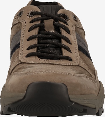 Pius Gabor Sneakers in Brown