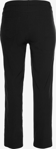 KjBRAND Regular Pants in Black