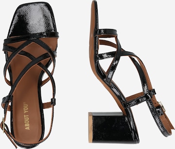 ABOUT YOU Strap Sandals 'Josephine' in Black