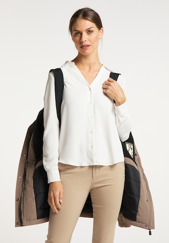 DreiMaster Klassik Zimska jakna | rjava barva
