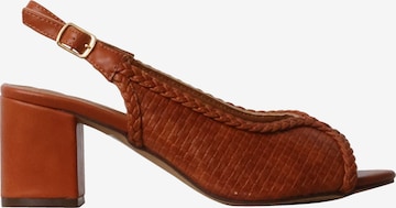 POTI PATI Pumps 'Supermodische Pumps' in Oranje