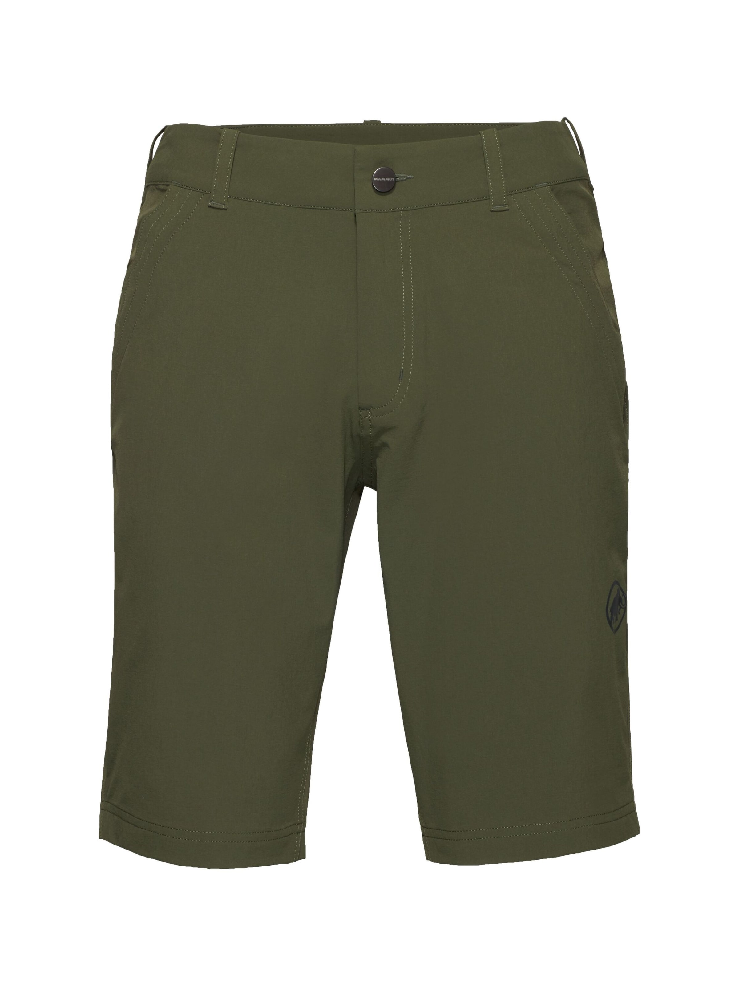 MAMMUT Outdoor Pants 'Hiking V' in Green: front