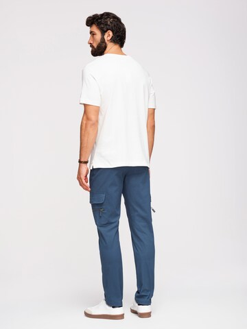 Ombre Regular Chino trousers in Blue