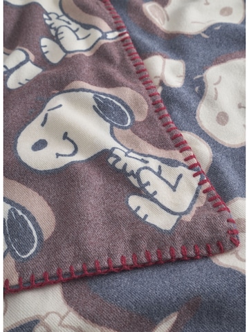 Foulard CODELLO en bleu