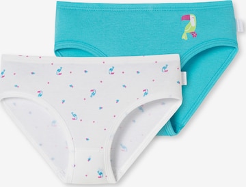 SCHIESSER Underpants in Blue: front