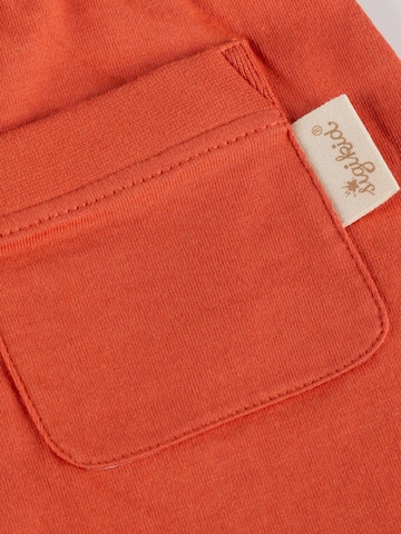 SIGIKID Regular Hose 'Shorts Savanne' in Rot