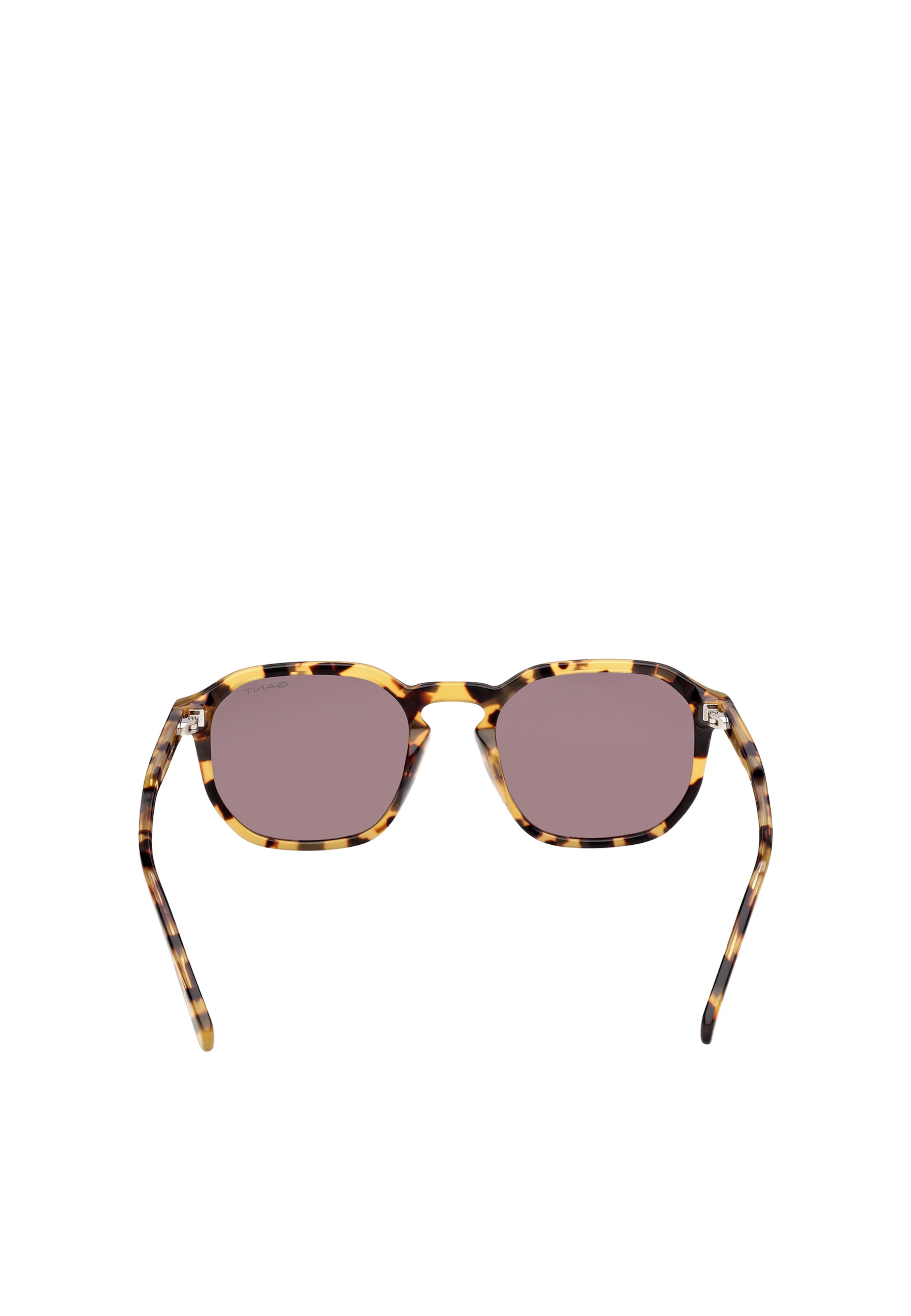 GANT Sunglasses in Brown