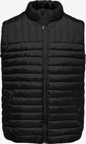 Only & Sons Vest 'Paul' in Black: front