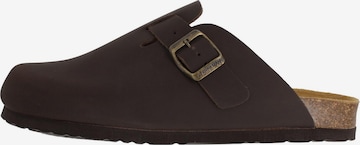 DR. BRINKMANN Clogs 'Nerpio' in Bruin: voorkant