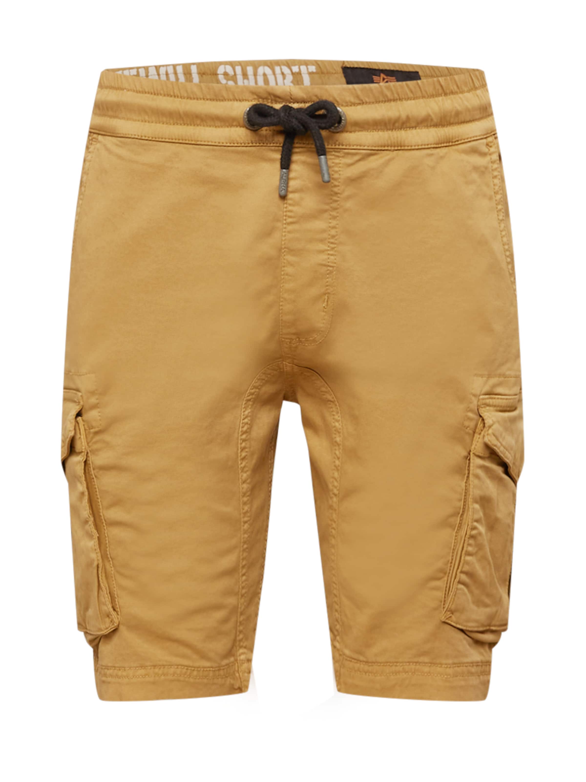 regular Pantaloni cargo di ALPHA INDUSTRIES in verde: frontale