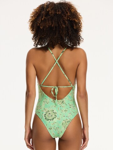 Shiwi Triangle Swimsuit in Green