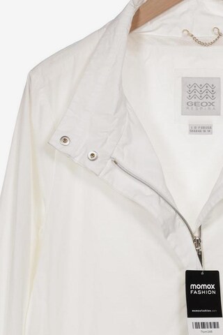 GEOX Jacket & Coat in XXL in White