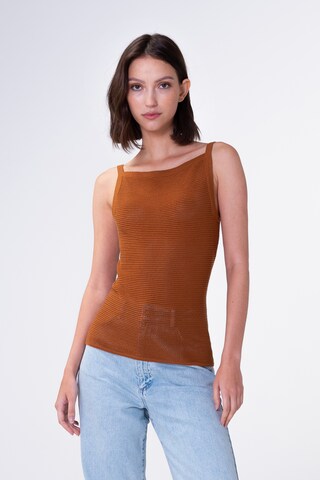 Tops en tricot 'Galiea' Aligne en marron : devant