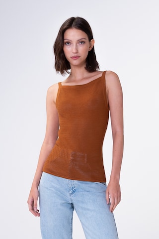 Tops en tricot 'Galiea' Aligne en marron : devant
