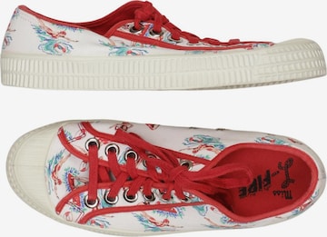 MISS L FIRE Sneaker 40 in Mischfarben: Vorderseite