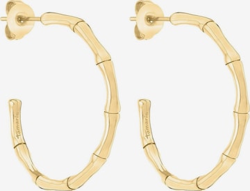 Boucles d'oreilles TAMARIS en or : devant