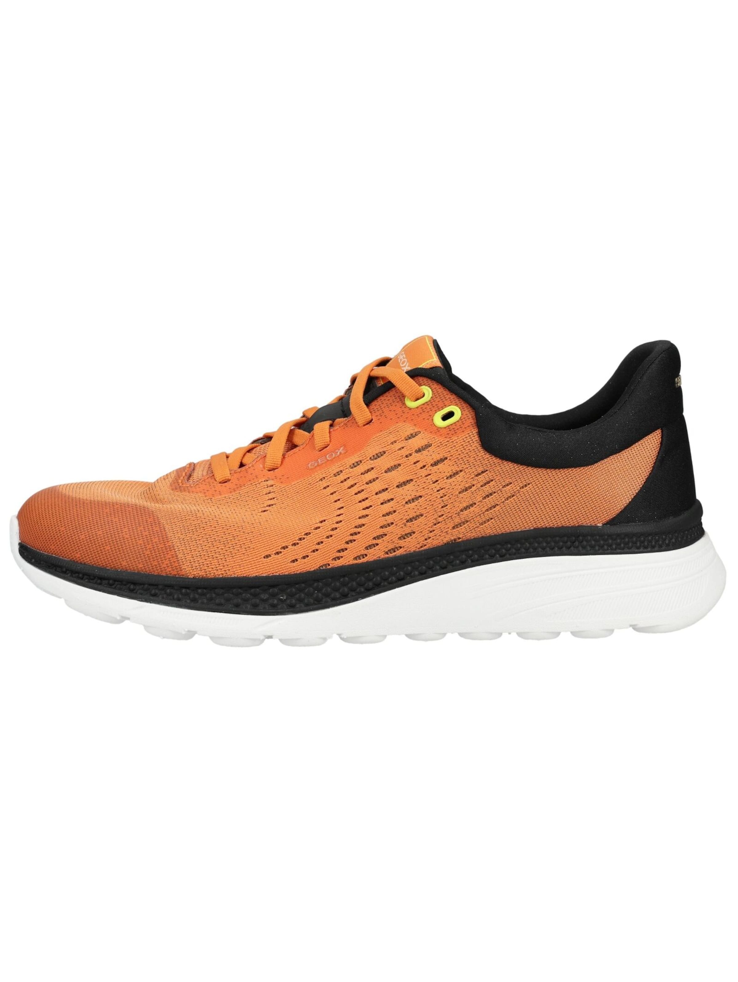Sneaker bassa di GEOX in arancione