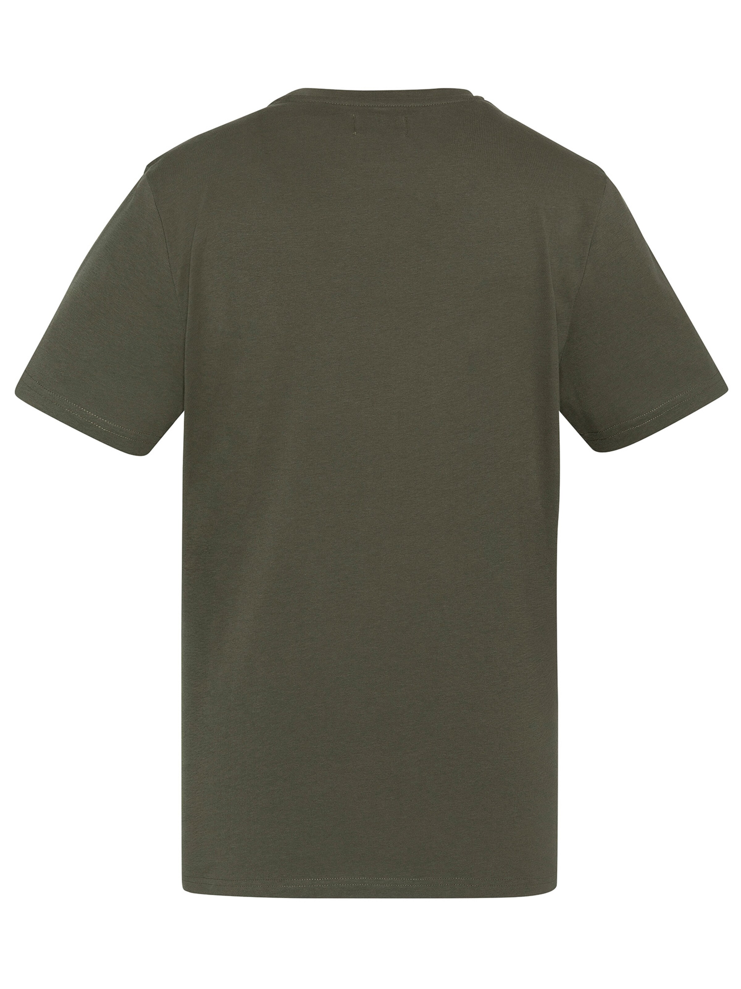Schott NYC Shirt in Green