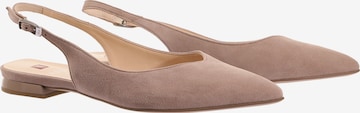 Högl Ballet Flats with Strap in Grey