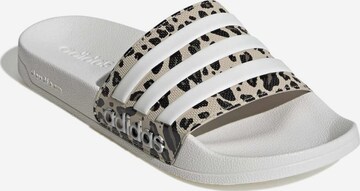 ADIDAS PERFORMANCE Pantolette 'Adilette Shower' in Weiß: Vorderseite