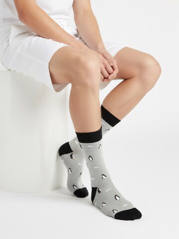 The Arctic Bay Socken 'DISCOVERY PACK EDITION 7 Unisex'‌‌‌‌‌ in Mischfarben