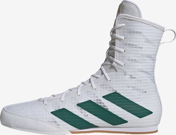 ADIDAS PERFORMANCE - Calzado deportivo 'Box Hog 4' en blanco: frente
