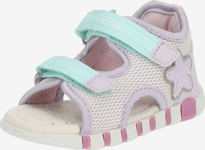 GEOX Sandalen in de kleur Turquoise / Lila / Pink / Zilver / Wit, Productweergave
