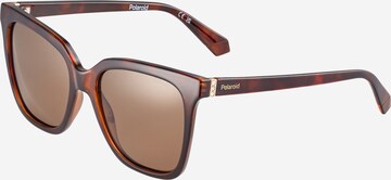 Polaroid Sonnenbrille in Braun: predná strana