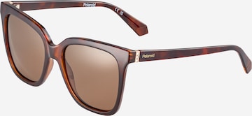 Polaroid Sunglasses in Brown: front