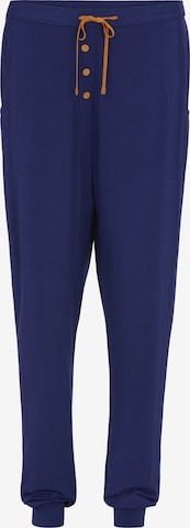 Cyberjammies Pyjamahose 'Indigo' in Blau: Vorderseite