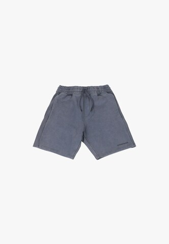 Loosefit Pantalon Dropsize en gris : devant