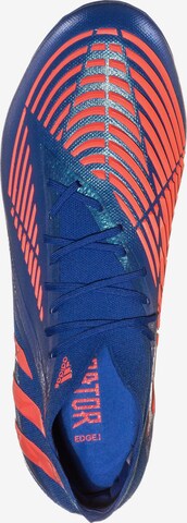 ADIDAS SPORTSWEAR Voetbalschoen in Blauw