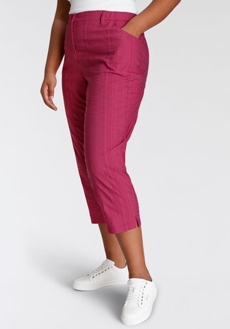 KjBRAND Regular Pants in Pink
