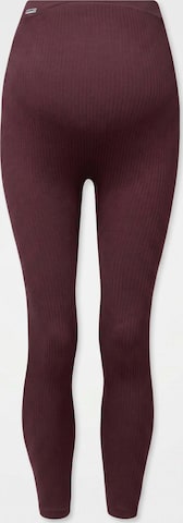 SNOCKS Slimfit Sportbroek in Rood: voorkant