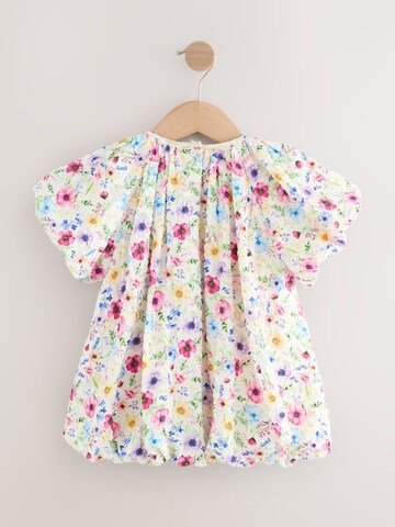 Next Kleid in Pink